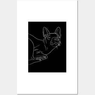 Chihuahua Posters and Art